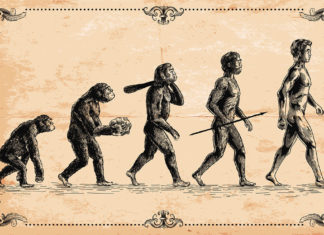 У истоков биосоциальной теории эволюции человека