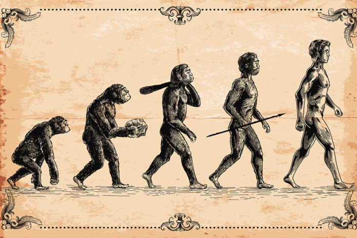 У истоков биосоциальной теории эволюции человека